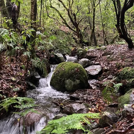 아파트 Palma Madeira Wandern Und Tauchen *