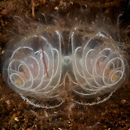 Apartman Palma Madeira Wandern Und Tauchen Caniço