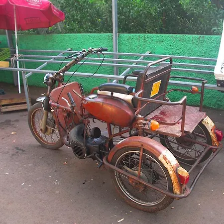 Palma Madeira Wandern Und Tauchen * Caniço