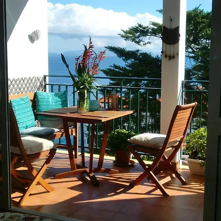 Palma Madeira Wandern Und Tauchen