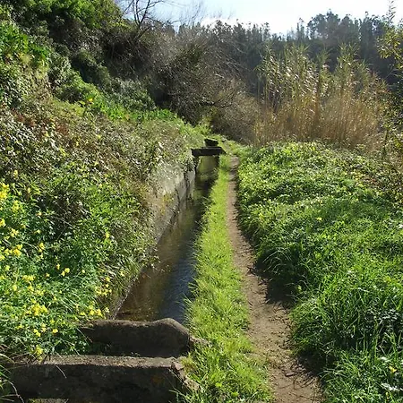 아파트 Palma Madeira Wandern Und Tauchen 카니코