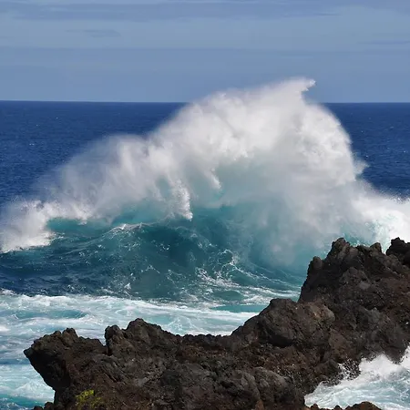 Apartman Palma Madeira Wandern Und Tauchen *