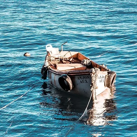 Apartman Palma Madeira Wandern Und Tauchen