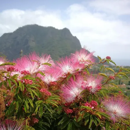 Palma Madeira Wandern Und Tauchen