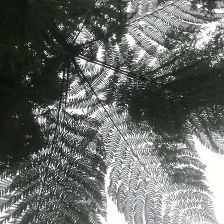 Appartement Palma Madeira Wandern Und Tauchen