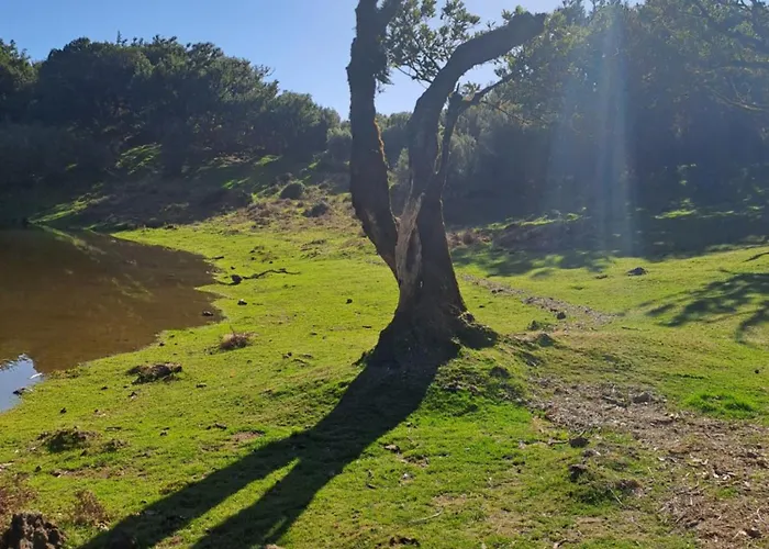 Palma Madeira Wandern Und Tauchen * Caniço
