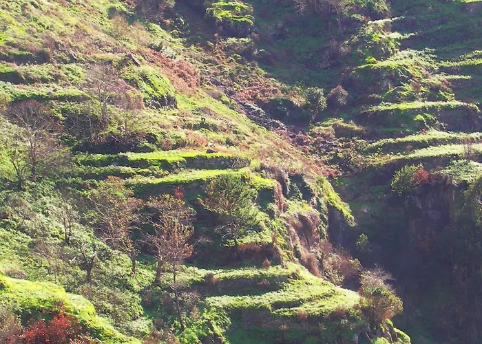 Apartmán Palma Madeira Wandern Und Tauchen *