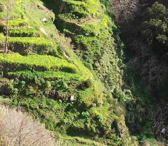 Apartmán Palma Madeira Wandern Und Tauchen Caniço