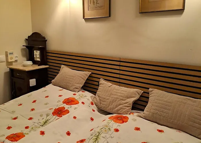 Palma Madeira Wandern Und Tauchen Apartmán