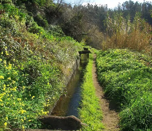 Palma Madeira Wandern Und Tauchen Apartmán *