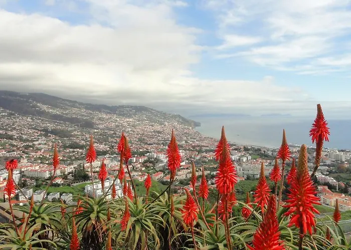 Apartmán Palma Madeira Wandern Und Tauchen *