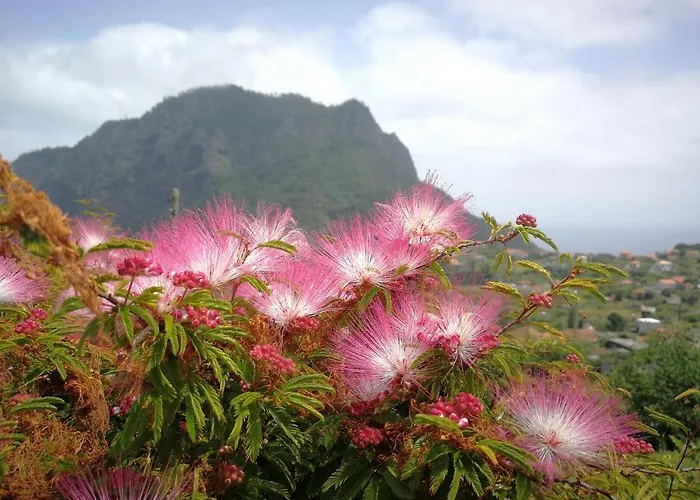Palma Madeira Wandern Und Tauchen