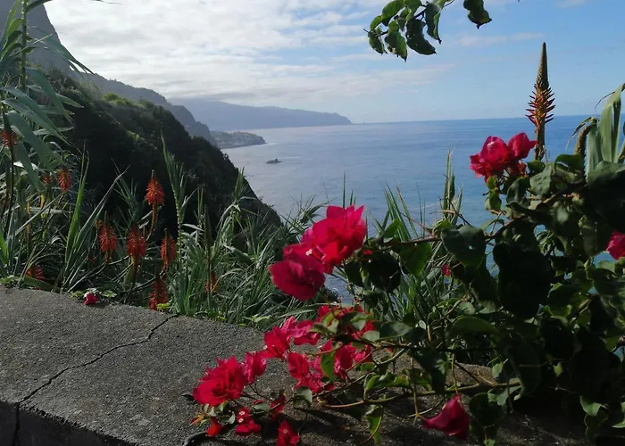 Palma Madeira Wandern Und Tauchen Apartmán Caniço