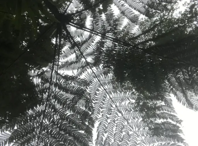 Apartmán Palma Madeira Wandern Und Tauchen