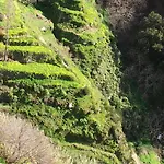 Apartment Palma Madeira Wandern Und Tauchen Canico (Madeira)