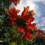 Palma Madeira Wandern Und Tauchen Canico (Madeira)