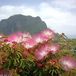 Palma Madeira Wandern Und Tauchen