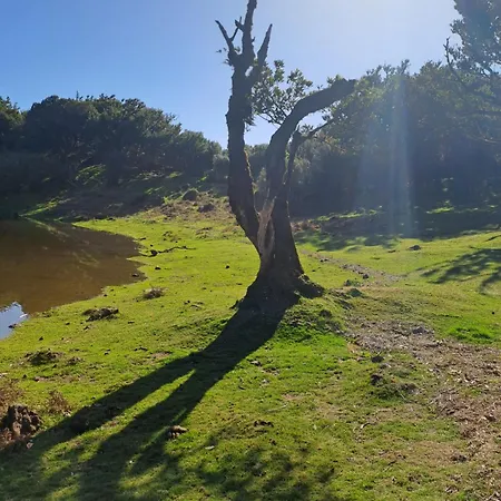 Palma Madeira Wandern Und Tauchen * Caniço
