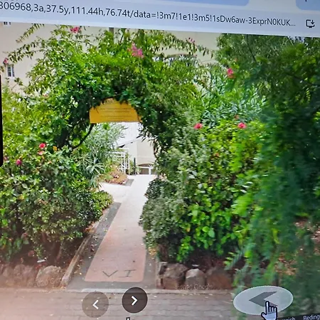 Palma Madeira Wandern Und Tauchen *