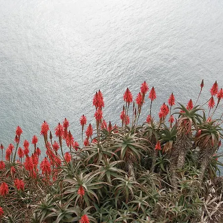 Palma Madeira Wandern Und Tauchen
