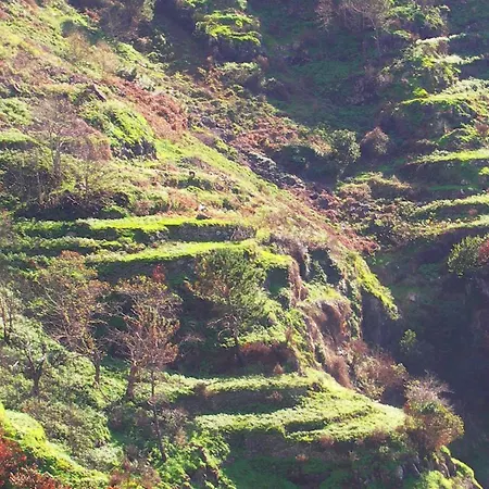 Apartament Palma Madeira Wandern Und Tauchen *