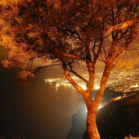 Apartamento Palma Madeira Wandern Und Tauchen *