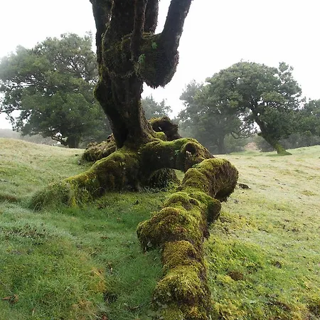 Palma Madeira Wandern Und Tauchen Apartament *