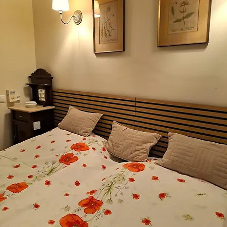 Palma Madeira Wandern Und Tauchen Apartament