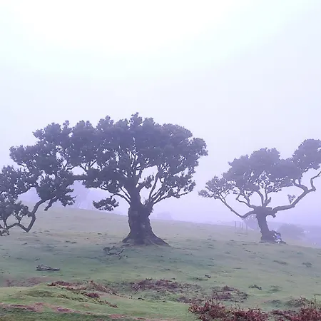 Apartamento Palma Madeira Wandern Und Tauchen Caniço