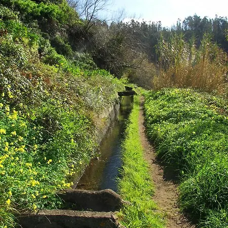 Palma Madeira Wandern Und Tauchen Apartament *