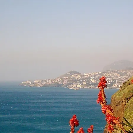 Apartament Palma Madeira Wandern Und Tauchen *