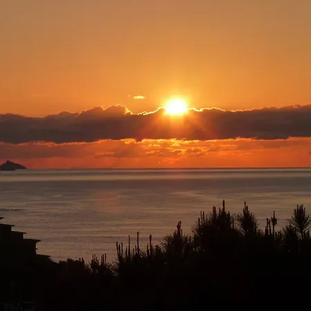 Palma Madeira Wandern Und Tauchen *