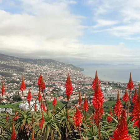 Apartament Palma Madeira Wandern Und Tauchen *