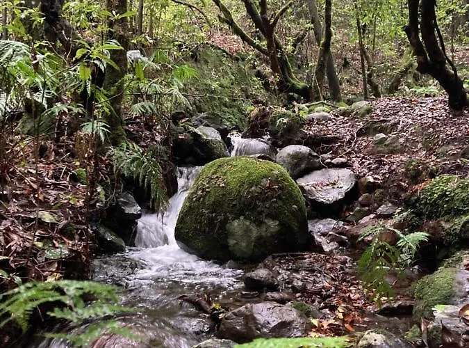 Appartamento Palma Madeira Wandern Und Tauchen *