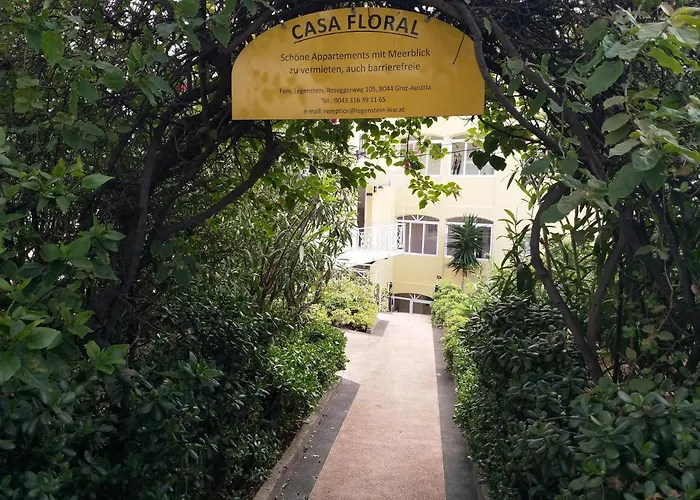 Apartment Palma Madeira Wandern Und Tauchen