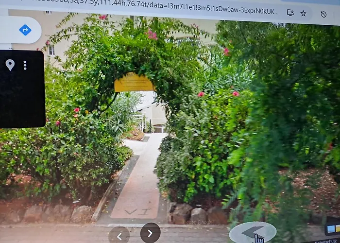 Palma Madeira Wandern Und Tauchen *