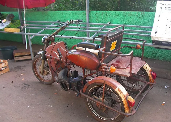 Palma Madeira Wandern Und Tauchen * Caniço