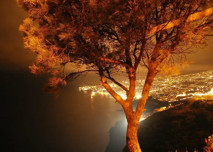 Appartamento Palma Madeira Wandern Und Tauchen *