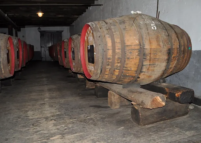 Palma Madeira Wandern Und Tauchen Apartment Caniço