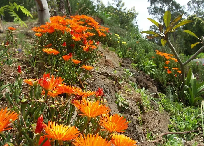 Palma Madeira Wandern Und Tauchen Appartamento *