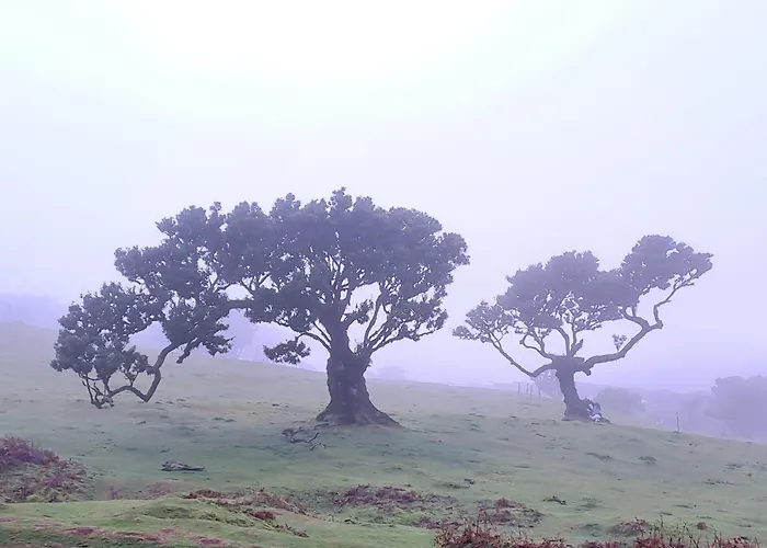 Appartamento Palma Madeira Wandern Und Tauchen Caniço