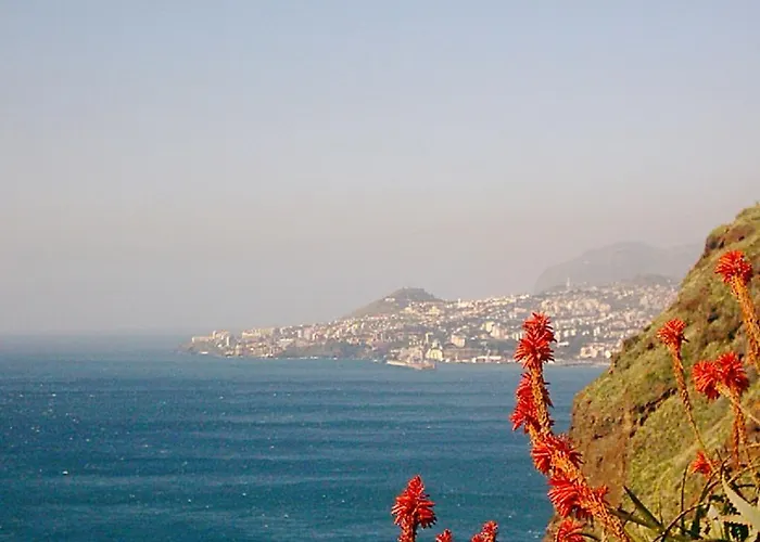 Apartment Palma Madeira Wandern Und Tauchen *