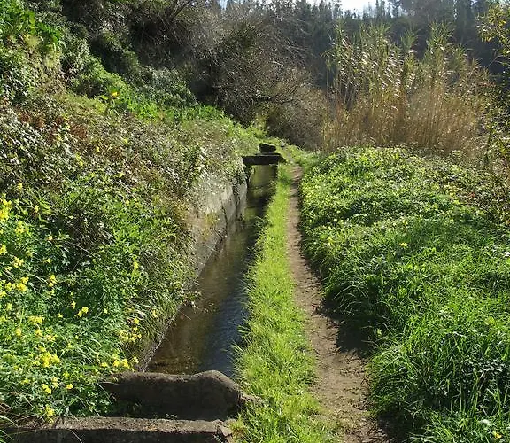 Appartamento Palma Madeira Wandern Und Tauchen Caniço