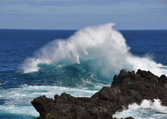 Appartamento Palma Madeira Wandern Und Tauchen *